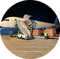 地(dì)面操作(zuò)代理(lǐ)